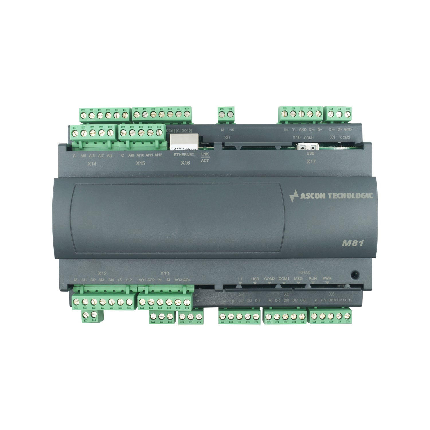 M81-RRRVUSS-E-E - Ascon Tecnologic - Control programable m81