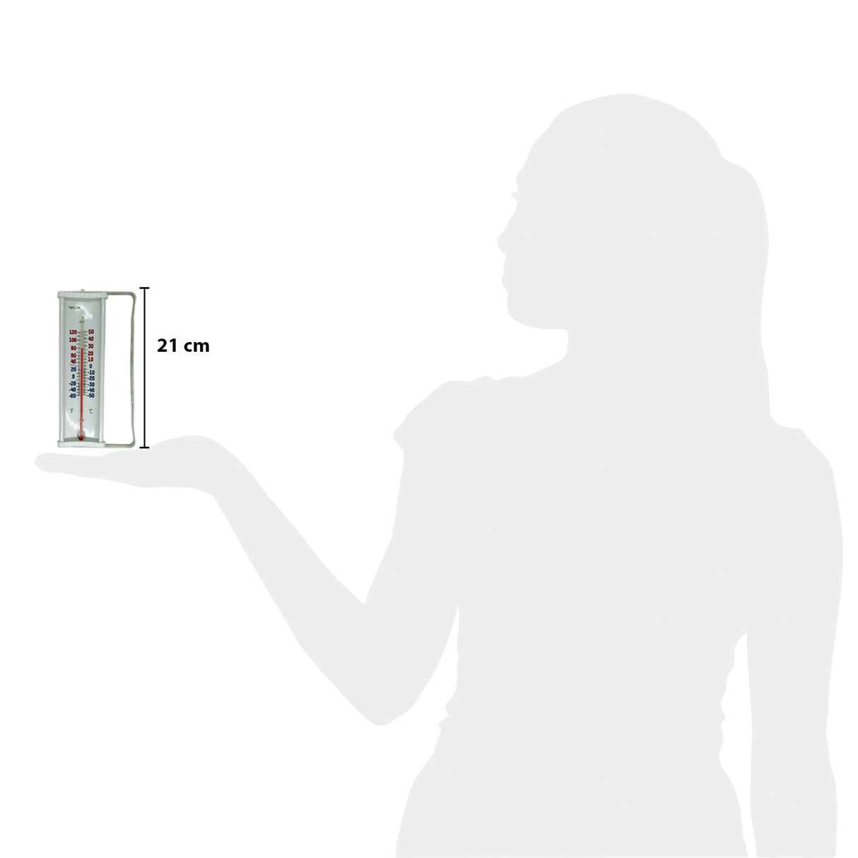 5316N - Taylor - Termómetro de pared exterior de -50 a 50°C