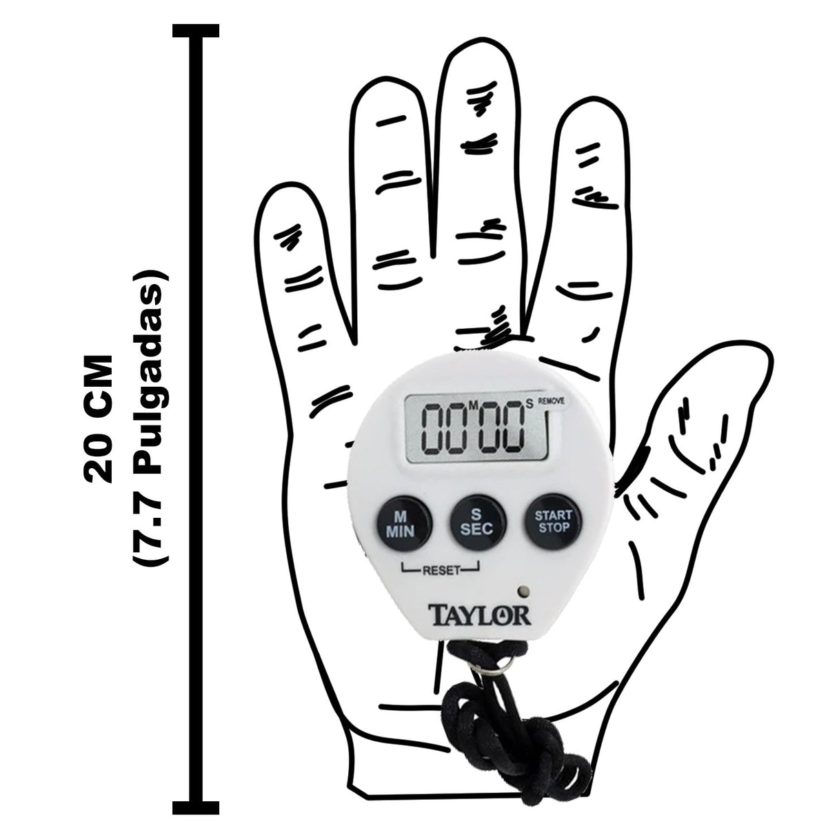 5816N - Taylor - Cronometro Digital Chef Rango : 99min 59 Seg