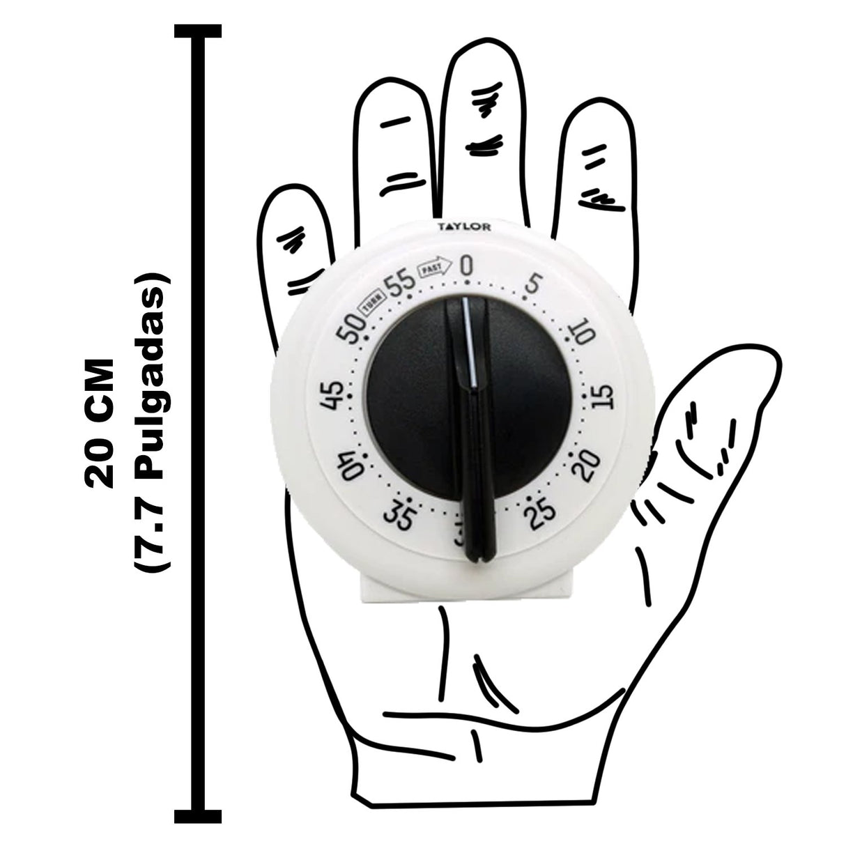 5831 - Taylor - Cronometro Analogo Economico