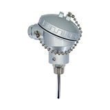 SPT10014X2R12C - Tempzone - Sensor PT100 1/4  x 2  rosca 1/2  NPT cabeza marina y block