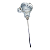SPT10014X6R12C - Tempzone - Sensor PT100 1/4  x 6  rosca 1/2  NPT cabeza marina y block